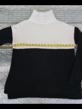 Susina Black & White Colorblock Mock Neck Sweater